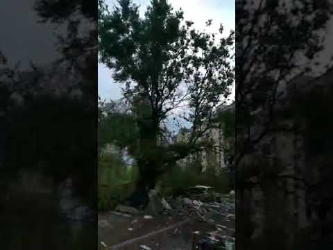 Северодонецк, ул. Курчатова 7