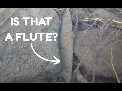 Arrowhead Archives - December 4, 2019 - The Day It Happened