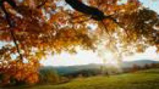 Tenth Avenue North - Beloved (Original Version)