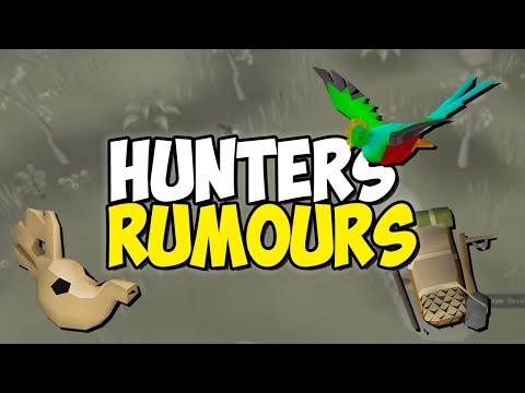 Hunters Rumours QUICK Guide (Varlamore Hunter update)