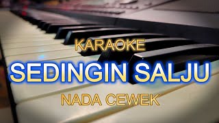 Download lagu SEDINGIN SALJU KARAOKE NADA CEWEK mp3