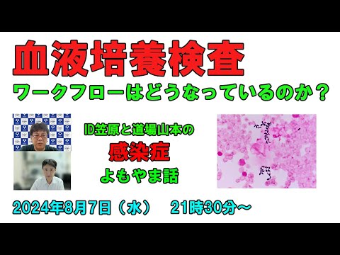 看護学科 血液培養のワークフローを考える