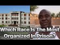 Which Race Is The Most Organized In Prison?