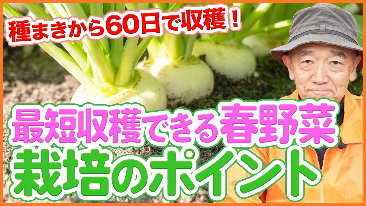 60日以内で収穫！最短で育つ春野菜と失敗しない栽培ポイント【シェア畑】【農園ライフ】