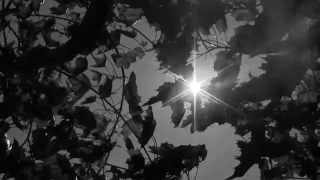 Broken Twin - Sun Has Gone (Video)