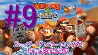 【スーパードンキーコング３】＃9　８面よ、かかってこい。