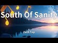 Zach Top - South Of Sanity (Lyrics)