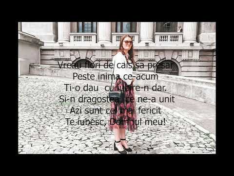 Eli Elisa- Stau si privesc ochii adanci (cover) -Bianca Bolboacă