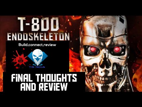 Build the Terminator - final thoughts and review