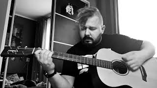 Tenacious D - Government Totally Sucks acoustic guitar cover