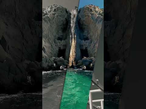 Thumbnail for Carnival Panorama ⏩ Mexico #carnival #carnivalpanorama #cabo #mazatlan #puertovallarta #travel