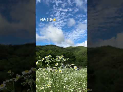 청송 맑음☀️