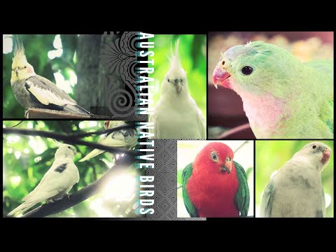 ブレマー川と市内中心部