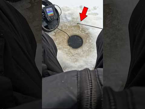 En osannut odottaa, että talven eka pilkkikala on tämmöinen vonkale🔥