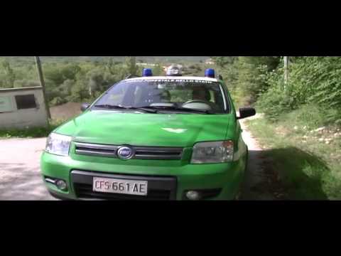 ONDA TG 27.05.2015 - ORSETTO SENZA MAMMA NEL PARCO STA BENE E MANGIA ok