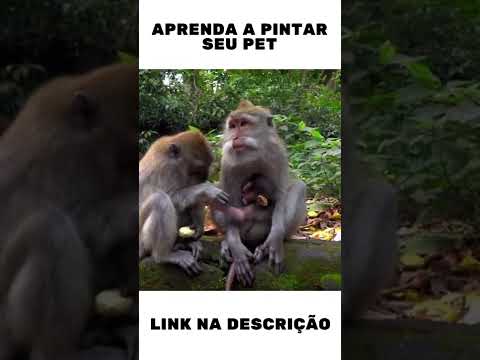 O que será que os animais fazem quando ninguém está olhando? #shorts