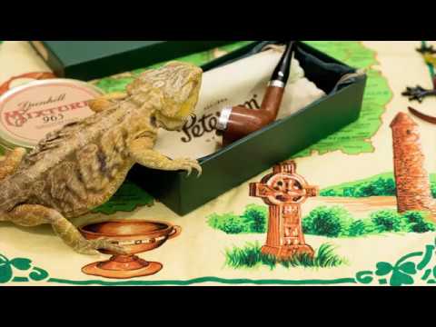 PETERSON SILVERCAP MADE IN THE REPUBLIC OF IRELAND 606 y Dragon