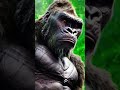 King Kon Movie Hulk Film Kingkong Marvel Aadivasilokgeet Dinosaur Funny Gavthitarpasong