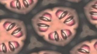 Traci Lords - Catch Me In A Pose (E39 Paparazzi Mix)