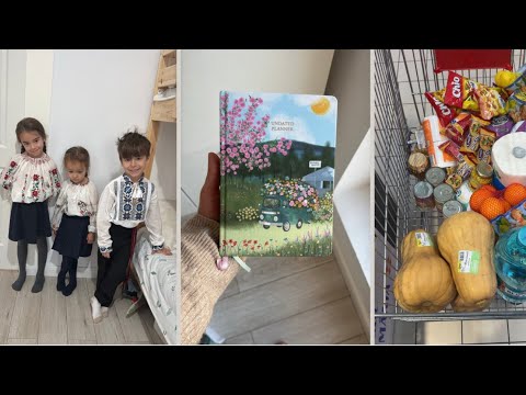 Daily VLOG | I have to walk, shop and clarify 3 THINGS