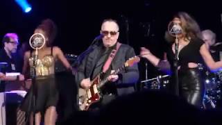 Elvis Costello - Pump It Up (Live 12/3/2018)