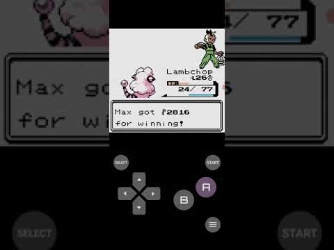 Let's Play Crystal Clear Part 28: The Fighthouse