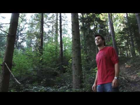 Model-Driven Design Fast Forward