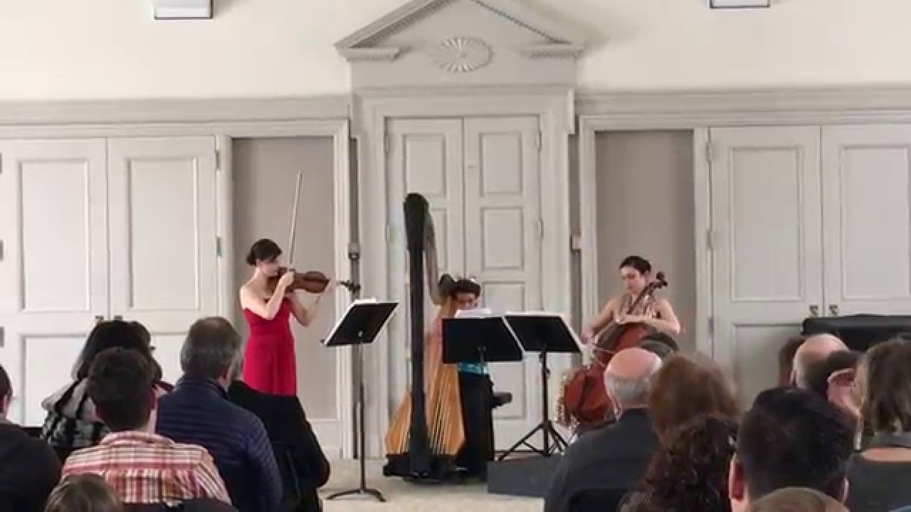 Promotional video thumbnail 3 for Arev Music Entertainment