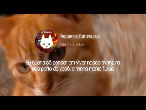 𝑃𝑒𝑞𝑢𝑒𝑛𝑜𝑠 𝐸𝑥𝑡𝑟𝑎𝑚𝑢𝑟𝑜𝑠 🐱 | 𝑃𝑎𝑝𝑦𝑟𝑢𝑠 𝑑𝑎 𝐵𝑎𝑡𝑎𝑡𝑎 (𝑆𝑝𝑒𝑒𝑑 𝑢𝑝 + 𝑅𝑒𝑣𝑒𝑟𝑏)