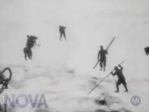 Shackleton