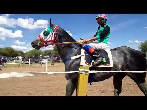 Hip. El Quebrachal ( Monjita)