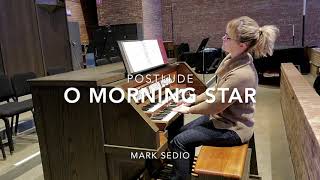 O Morning Star — Mark Sedio