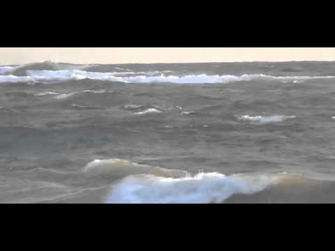 Crocodile Dehiwala By Lahiru Harshana