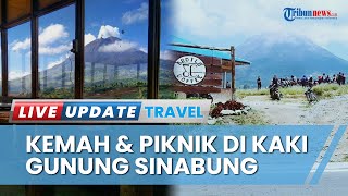 3 Aktivitas Pecinta Alam dan Penyuka Kopi di Kaki Gunung Sinabung, Kemah & Piknik di Erdilo Coffee