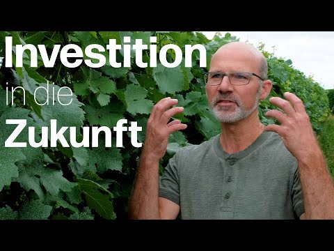 Mit resistenten Rebsorten in die Zukunft: Das Delinat-Weingut Hirschhof in Rheinhessen