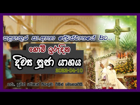 ගොබ් ඉරුදින දිව්‍ය පූජා යාගය | Catholic Sunday Mass Today , April 9,2022 #Sunday_Mass_Sinhala