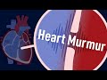 How to Identify Heart Murmurs | Ausmed Lectures