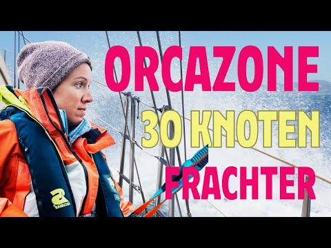 Durch die Orca-Zone von Gibraltar - vom Atlantik ins Mittelmeer!