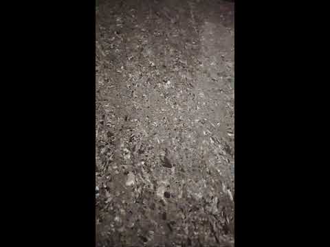 Nature is live#iniya இரவு வணக்கம் உறவுகளே#shortsfeed#youtubevedios#trendingshorts