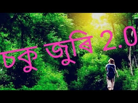 sokujuri. nikhil. harshraj. asamise cover video. one gang lyf