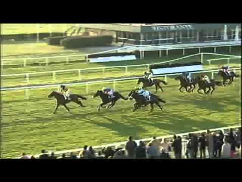 Premio Enrico Camici 2014 (HANDICAP PRINCIPALE)