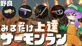 【野良】見るだけ上達サモラン！難しそうどんぴこ闘技場🐋カンスト293回【スプラトゥーン3/サーモンランNW】