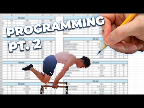 How to Improve your Training Program (Calisthenics)