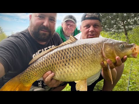 30 kg kukurydzy i wielkie karpie weszły w zanętę, łódki do wywózki i nocka / wędkarstwo karpiowe