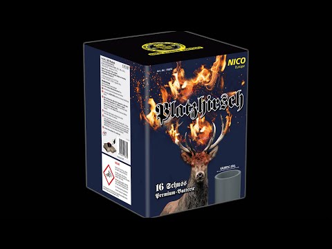 NICO Europe - Platzhirsch, 16 Schuss