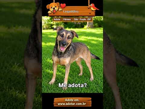 Vídeo de Leopoldina 