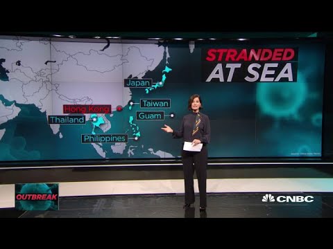 Coronavirus update; the nightmare at sea continues