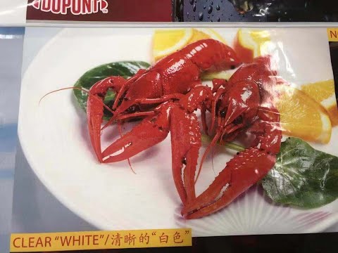 Cinova CI Flexo Press Printing 2021.2