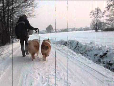 TOBI Zaciszny Dworek. Merry Christmas 2010 !