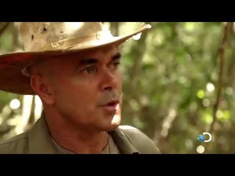 DESAFIO EM DOSE DUPLA  BRASIL, AMAZONAS 2020